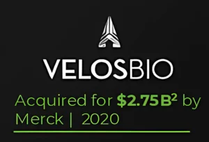 car1--18-artguru copia