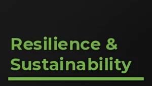 car3--23-artguru copia