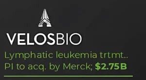 cor2--05 copia-artguru copia